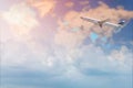 Commercial airplane flying over white clouds sky and world map. Royalty Free Stock Photo