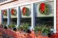 four windows decorated with four Christmas wreaths and planters with evergreens