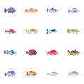 Commercial fish collection flat icons set
