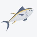 Commercial fish species. Yellowfin tuna in flat modern vector. Icon or logo isolated on white. Royalty Free Stock Photo