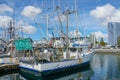 Commercial Fishing Boats Docked in San Diego Harbor. Royalty Free Stock Photo