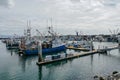 Commercial Fishing Boats Docked in San Diego Harbor. Royalty Free Stock Photo