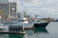 Commercial Fishing Boats Docked in San Diego Harbor. Royalty Free Stock Photo