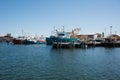 Commercial Fishing Industry in Fremantle Royalty Free Stock Photo