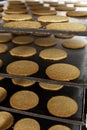 Commercial manufacturing and baking Oat Cakes No. 2