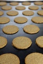 Commercial manufacturing and baking Oat Cakes No. 5