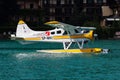 Commercial seaplane at lake. Small and sport aircraft. General aviation industry. Vip transport. Civil utility transportation.