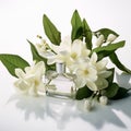 Hyperrealistic Perfume Bottle With White Flowers - High Resolution Art