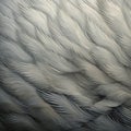 Abstract Wing Painting With Textured Feathers In Cinema4d Style