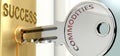 Commodities and success - pictured as word Commodities on a key, to symbolize that Commodities helps achieving success and