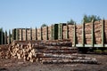 Commodity cars transporting wood