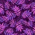 Common ash purple-pink leaves, hand painted watercolor illustration seamless pattern design on dark background