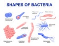 Common bacteria infecting human