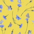 Seamless pattern th blue butterfly and blue meadow flower