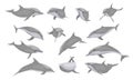 Common bottlenose dolphin set. Dolphins Tursiops truncatus in different poses. Realistic vector