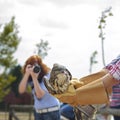 Common Buzzard (Buteo buteo) being released