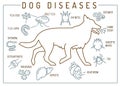 Common canine diseases. Informative infographics. Vector illustration