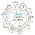 Common canine diseases. Informative infographics. Vector illustration