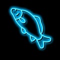 common carp neon glow icon illustration