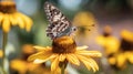 Common Checkered Skipper Butterfly in flower