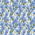 Common chicory flowers watercolor seamless pattern design