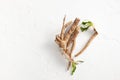Crude chicory root Cichorium intybus with leaves on a white background Royalty Free Stock Photo