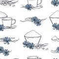 Common chicory. Vector pattern