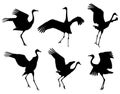 Common Crane in the dance silhouettes set