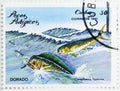 Common Dolphinfish (Coryphaena hippurus), Sea fishes serie, circa 1981