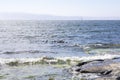 Common eider`s flock with babies and view of Gulf of Finland and rocky shore, Suvisaaristo area Royalty Free Stock Photo