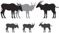 Common eland antelope silhouettes