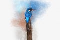 Common Eurasian kingfisher perches on a small fence. Watercolor Digital Painting, vintage effect. Bird illustration