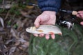 Common or european chub in the fisherman net during sport angling Royalty Free Stock Photo