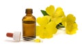 Common evening primrose flowers with essence bottle Royalty Free Stock Photo