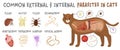 Common external and internal parasites in cats.