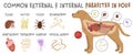 Common external and internal parasites in dogs.