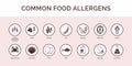 Common food allergens icons set Royalty Free Stock Photo