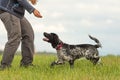 Common game with a cute obedient dog. Cocker Spaniel and dog owner