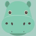 common hippopotamus herbivore mammal animal face