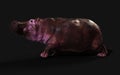 The Common hippopotamus posing isolate with Clipping path.