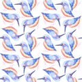 Common Kingfisher or Alcedinidae bird seamless watercolor birds painting background