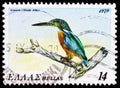 Common Kingfisher (Alcedo athis), Endangered Birds serie, circa 1979