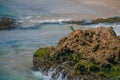 Common kingfisher Alcedo atthis bird sitting on the sea rock at Royalty Free Stock Photo