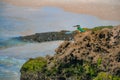 Common kingfisher Alcedo atthis bird sitting on the sea rock at Royalty Free Stock Photo