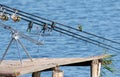 Common kingfisher, Alcedo atthis. A young bird is fishing, sitting on fishing rods. Periodically dives for the catch and comes