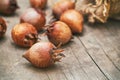 Common medlar fruit Royalty Free Stock Photo