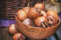 Common medlar fruit Royalty Free Stock Photo