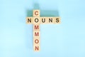 Common Nouns concept in English grammar education. Wooden block crossword puzzle flat lay in blue background.