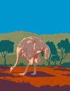 Common Ostrich or Somali Ostrich in the Sahel Region of Africa Art Deco WPA Poster Art Royalty Free Stock Photo