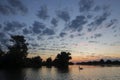 A common pelican silhouette swims on a lake in the Danube Delta before sunrise. Royalty Free Stock Photo